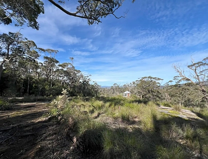 51 Pittam Way, Shadforth, WA 6333, 0房, 0浴, Lifestyle Property