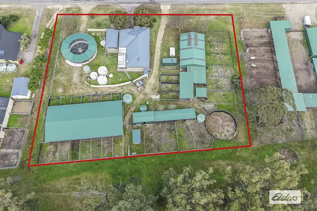 Moruya 4ਬੈੱਡਰੂਮ Exceptional Lifestyle with Premium Equine Infrastructure