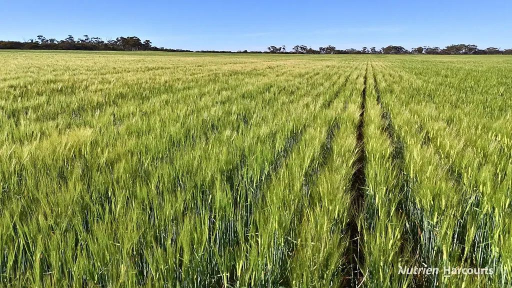 South Bodallin  Strategic Add-On or Investment Block