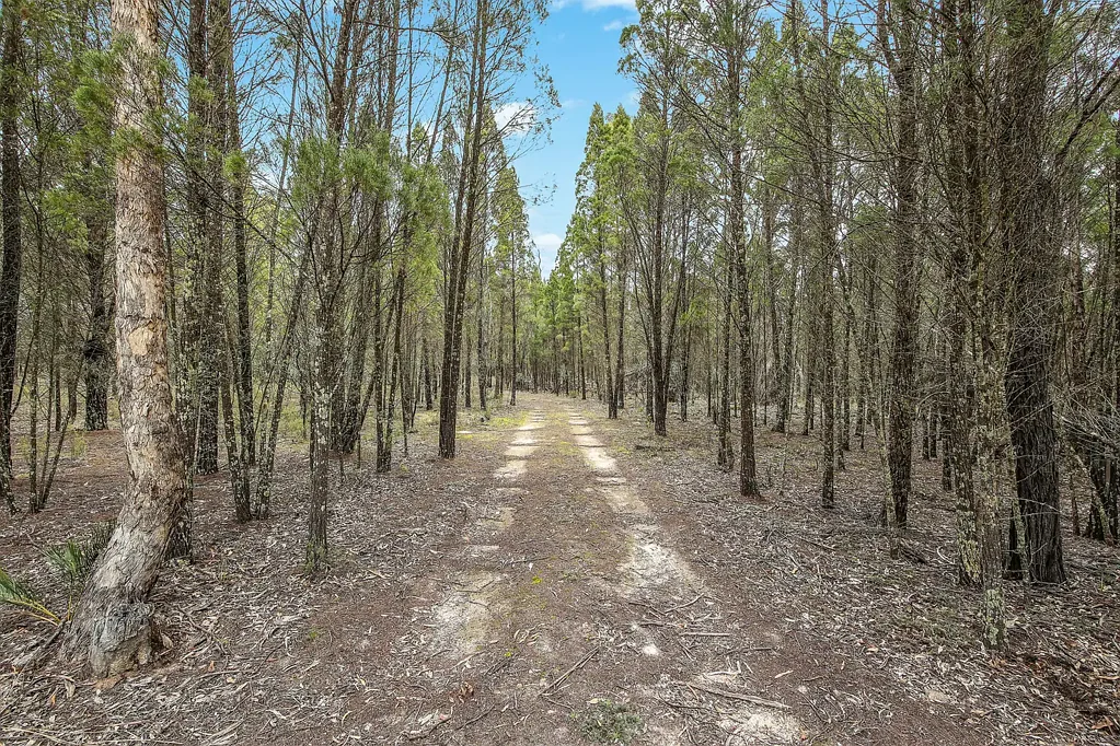 Mudgee Yarrawonga Rural Escape – 10.12ha of Peaceful Country Living with Dwelling Entitlement