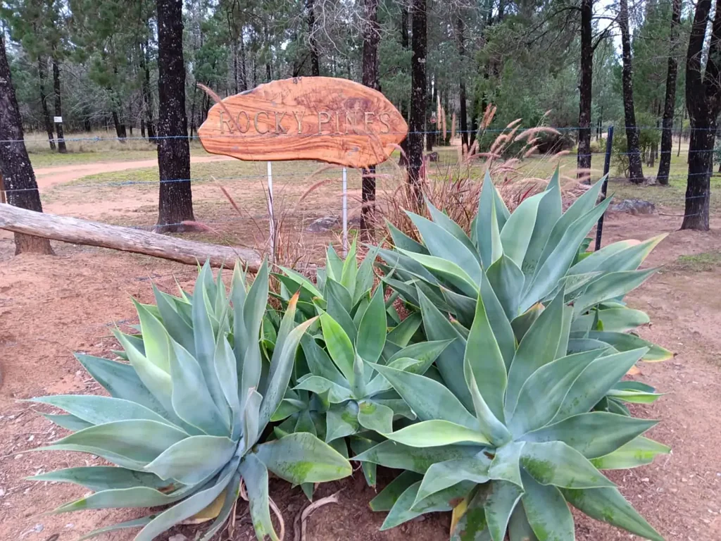 Smithlea "Rocky Pines" - A Versatile Sanctuary for Nature Enthusiasts and Agricultural Ventures