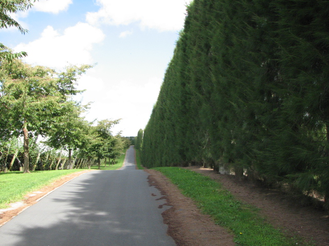 22 Roydon Downs Road, Paengaroa, Bay Of Plenty, 0房, 1浴