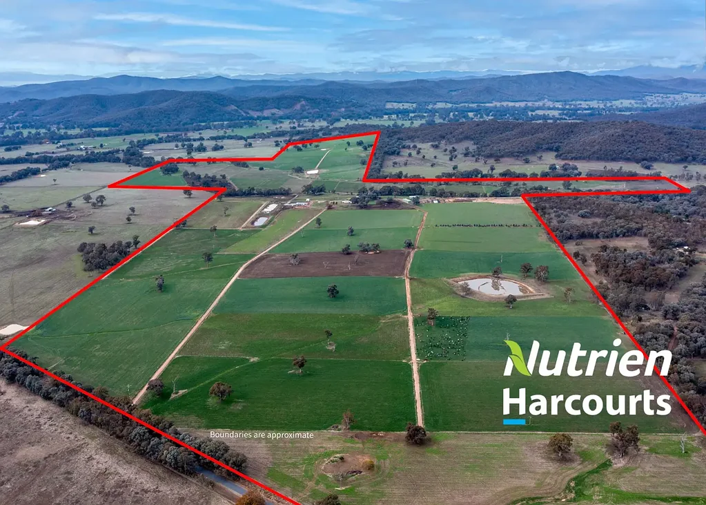Moyhu 205.62 Ha "Fairview" Moyhu King Valley 508 Acres