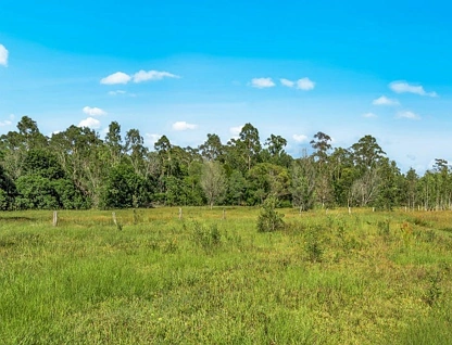Lot 1 Pacific Highway, Mororo, North Coast, 0 Schlafzimmer, 0 Badezimmer, Lifestyle Property