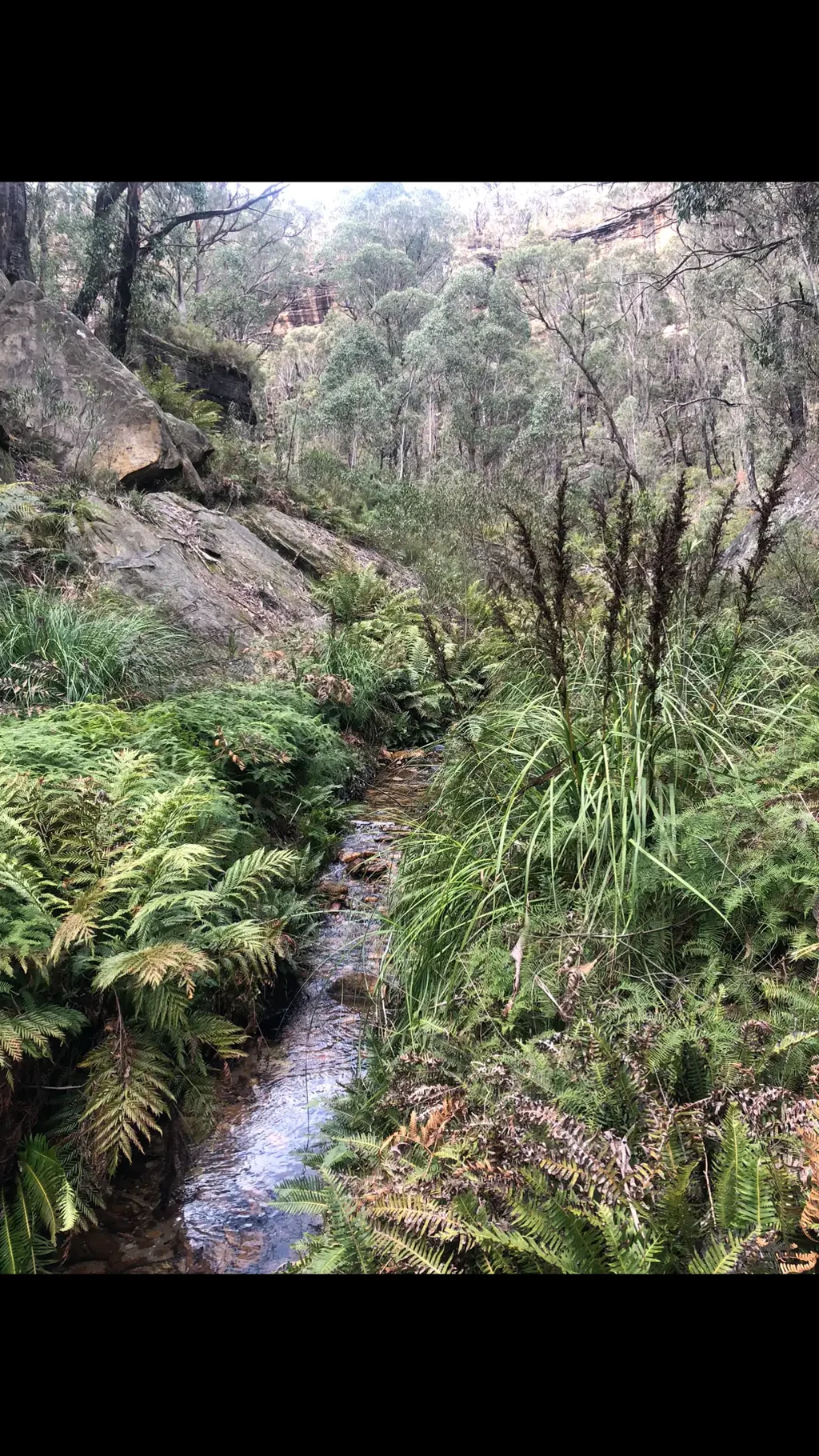 Lithgow Tourism Goldmine