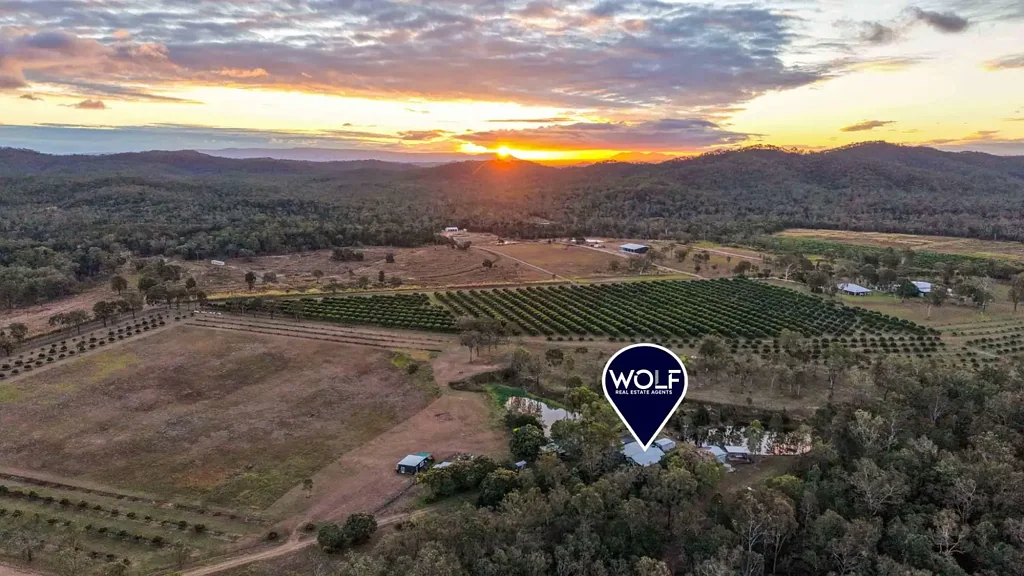 Mareeba A Remarkable Rural Lifestyle Property with Income Potential