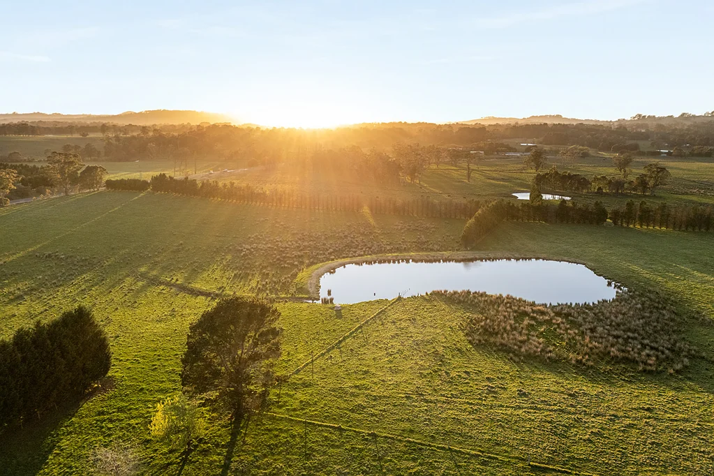 Avoca ELLRO: The Perfect Rural Canvas