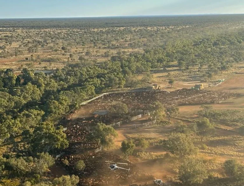 * Murray Downs Station, Alice Springs, Alice Springs, 0 غرف, 0 حمامات, Lifestyle Property