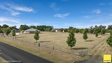 Guyra Elevated Lifestyle Opportunity - 4,006sqm in Sought-After Lakeview Locale