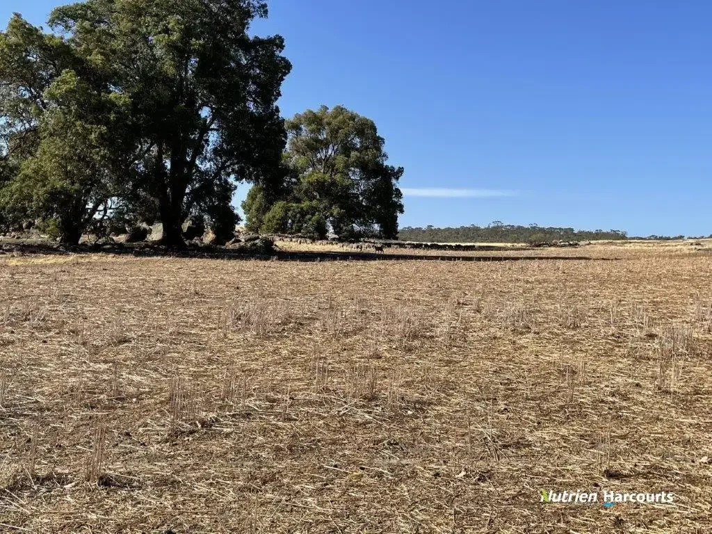. Ramsay Road, Brookton, WA 6306