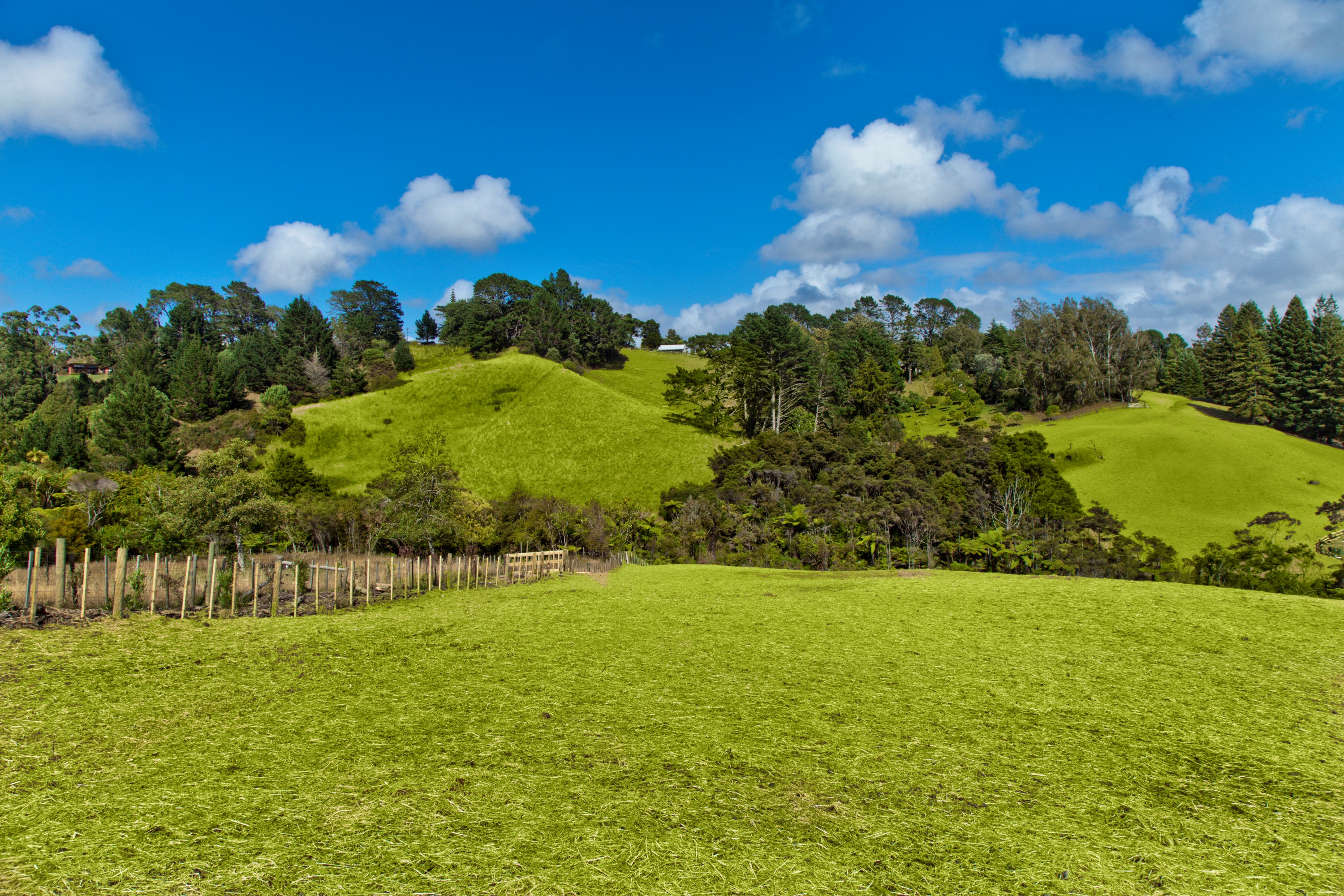 143b Glenmore Road, Coatesville, Auckland - Rodney, 0 phòng ngủ, 0 phòng tắm