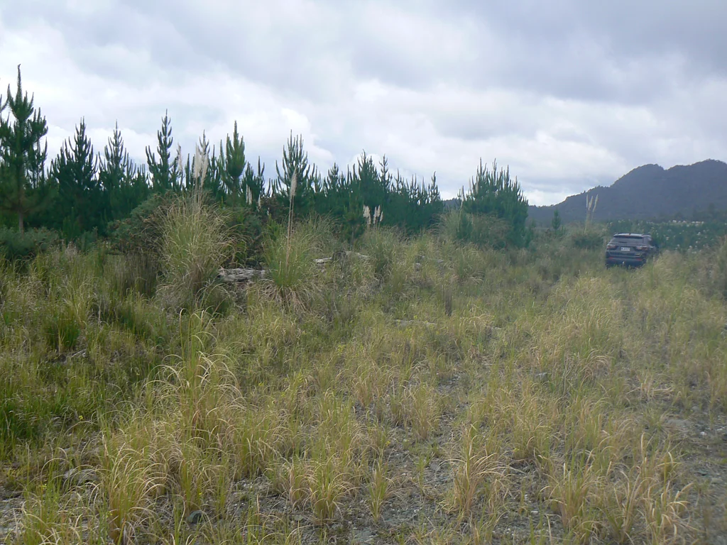 Kaeo 20.1285 ha (More or Less) Lot 45 Forestry Block
