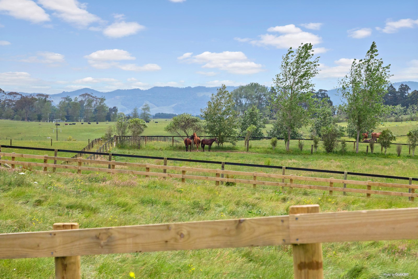 180 Hall Road, Bannockburn, Otago, 2 ਕਮਰੇ, 1 ਬਾਥਰੂਮ