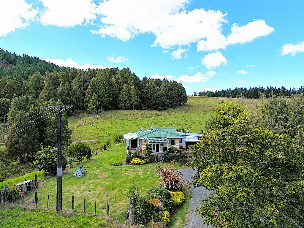 Dargaville  Cute and Cosy in Rural Setting