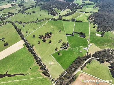 111 Old Walhalla Road, Toongabbie, VIC 3856, 0 slaapkamers, 0 badkamers, Lifestyle Property