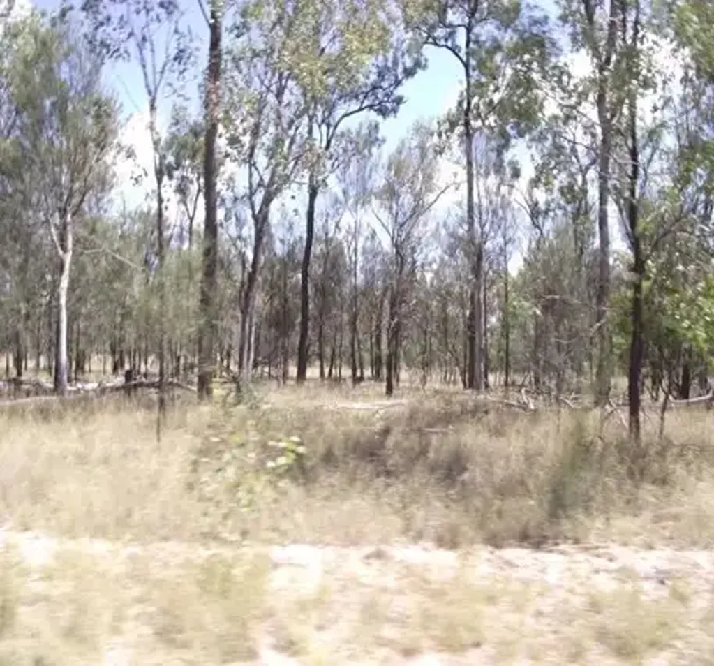 Tara 143 Acres for only $175,000