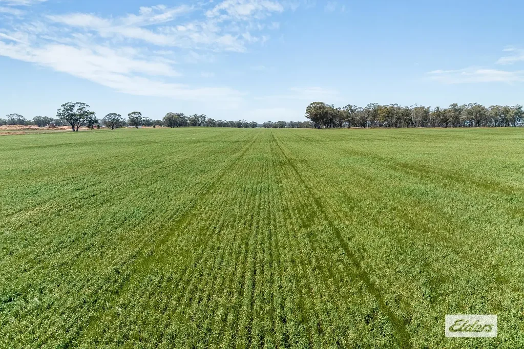 Newbridge Approx 310 Hectares / 766.7 Acres - Cropping and Grazing