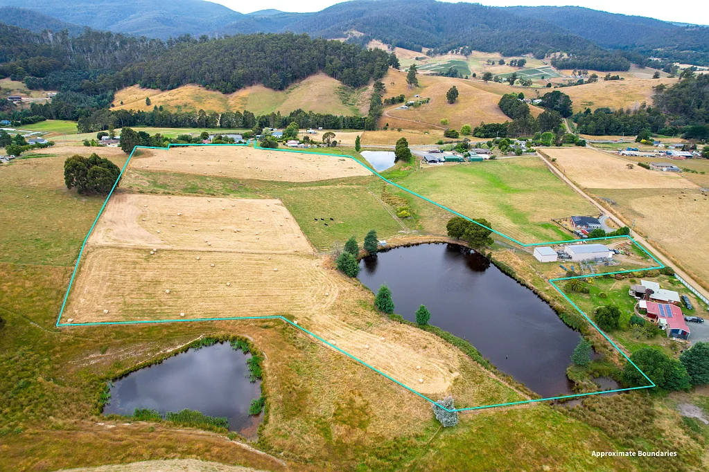 Cygnet  Prime Farming Land