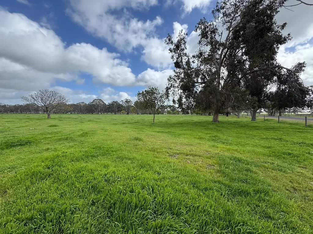Hynam Lot 4 Hynam Caves Road, Naracoorte