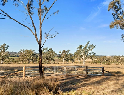 "Hutton Rise" Lot 2 Leyburn Cunningham Road, Pratten, Darling Downs, 0部屋, 0バスルーム, Section