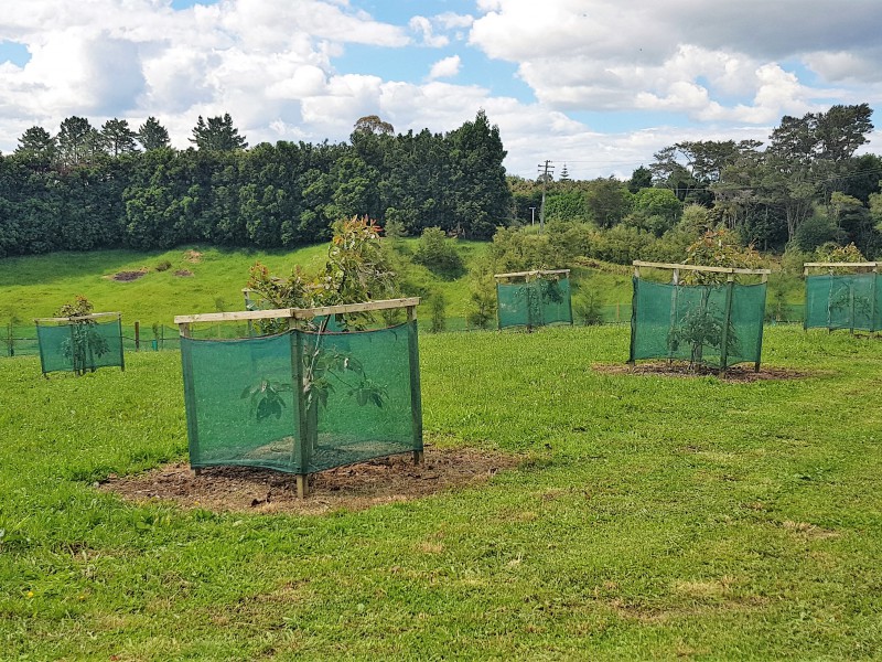 36 Knyvett Road, Aongatete, Bay Of Plenty, 0房, 1浴