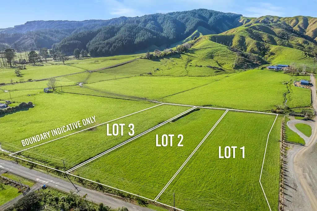 Levin  MOUNTAIN BACK DROP - MINIMAL COVENANTS $429,000