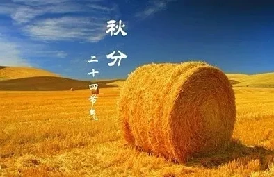 从秋天到春天，从LVR到Unitary Plan，奥克兰的房市降温始终“任重道远”