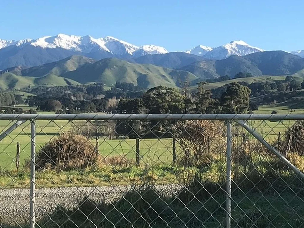 Masterton Wake up to this!