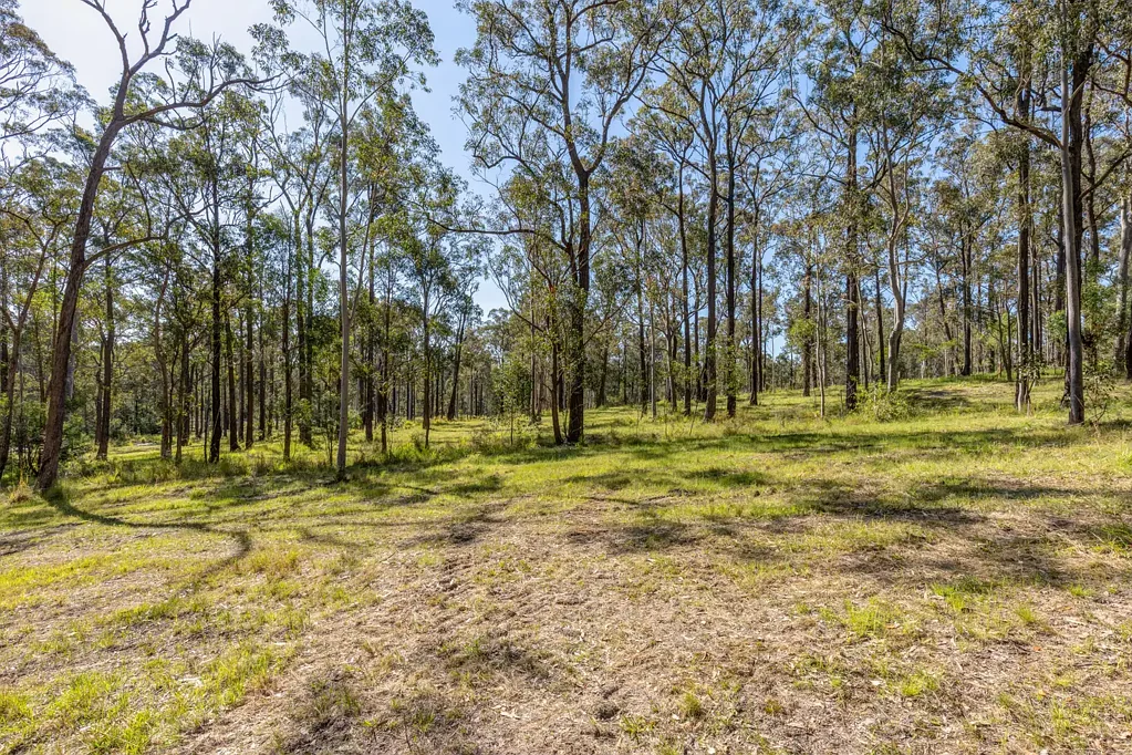 Clarence Town 10 Vacant Acres – Build, Create, Develop!