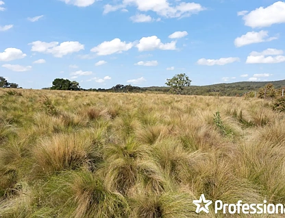 3469 Sofala Road, Wattle Flat, NSW 2795, 0房, 0浴, Lifestyle Property