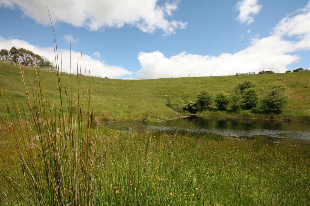 896a Glen Murray Road, Rangiriri, Waikato, 0 phòng ngủ, 0 phòng tắm