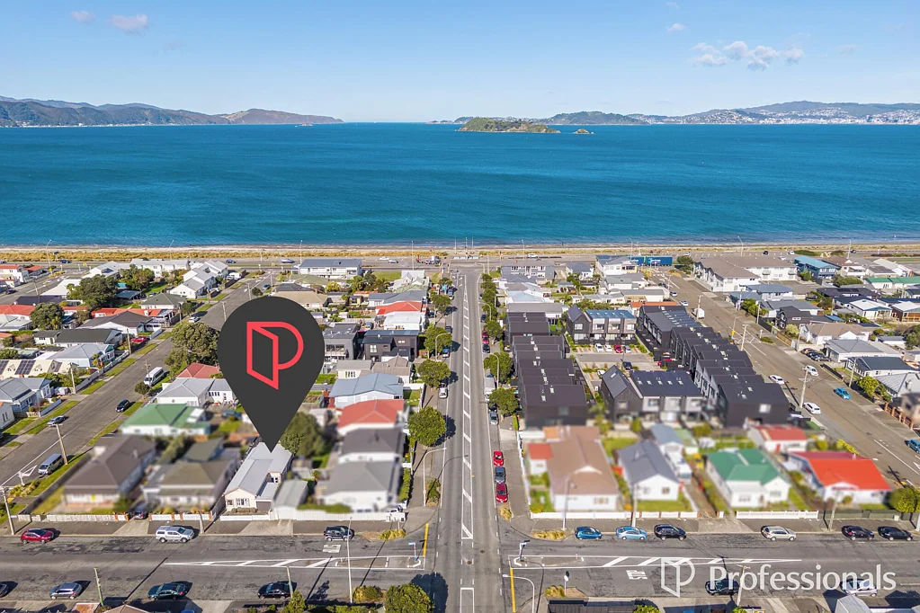 Petone 3 Slaapkamer This is Petone living at its best!