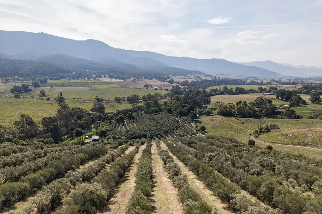 Mongans Bridge Kiewa Estate
