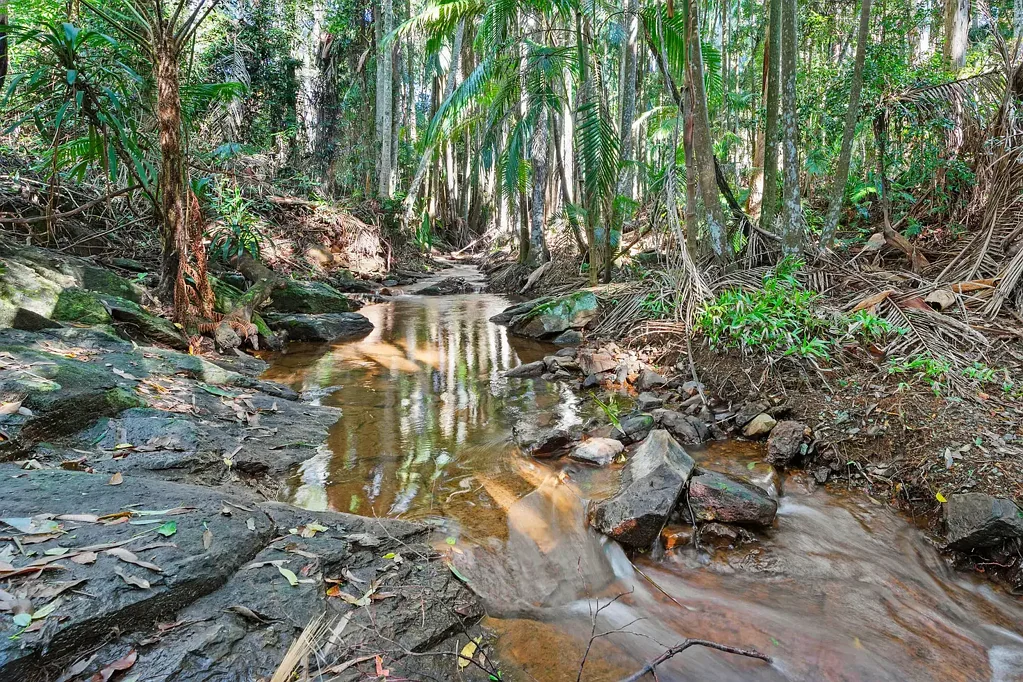 Tamborine Mountain Imagine Owing Your Piece of Tamborine Mountain History!