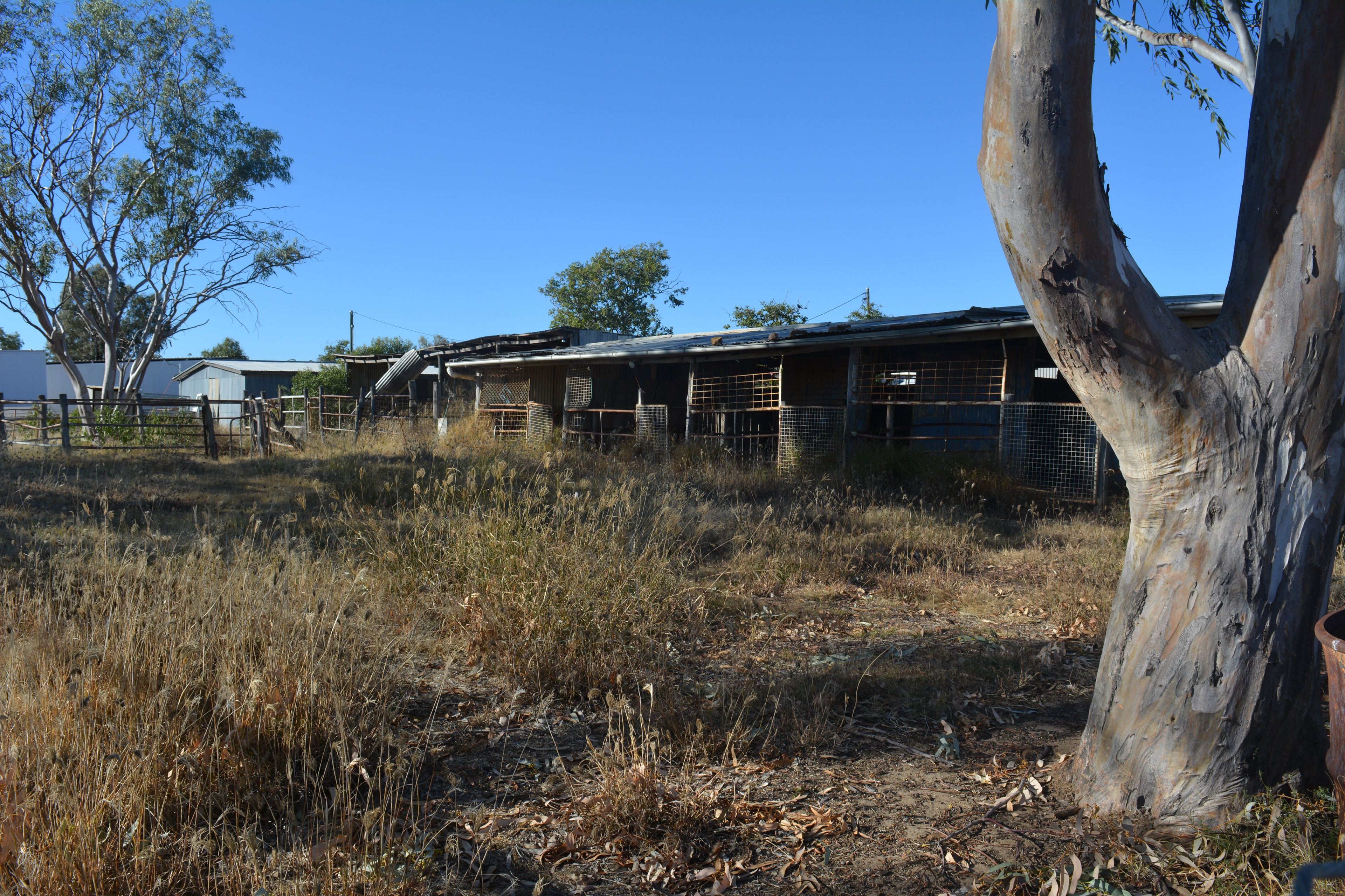 130-132 ROSE ST, BLACKALL QLD 4472, 0 rūma, 0 rūma horoi, Section