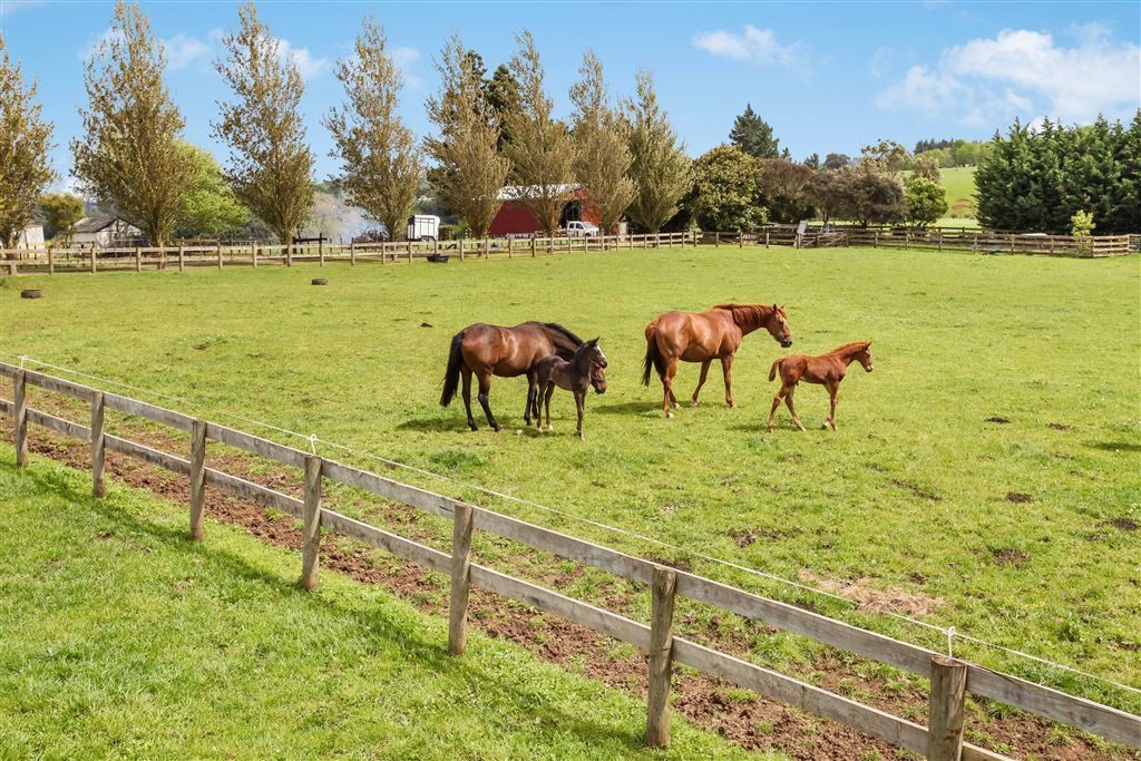 48 Mcmillan Road, Mangatawhiri, Waikato, 4 ਕਮਰੇ, 2 ਬਾਥਰੂਮ