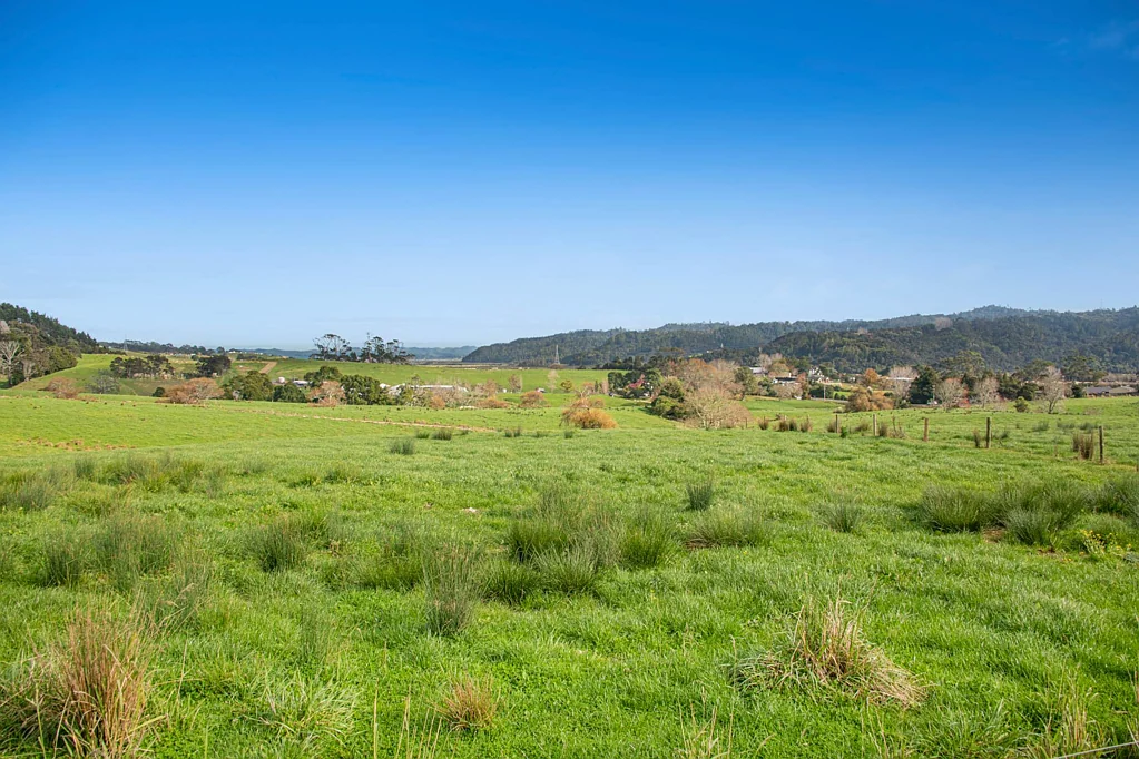 Helensville Where Dreams Take Root