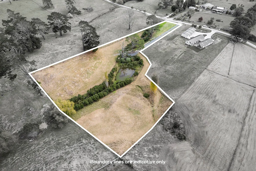 Stillwater  Contours with Personality, Tree Lovers Welcome