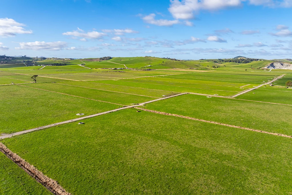 Ruawai Top-producing 212ha dairy operation