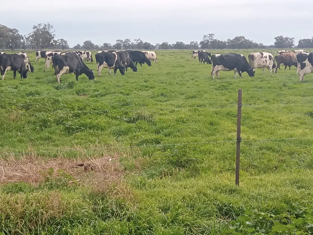 Barham  GREENACRES - SPEARPOINT BORE - 327 ACRES