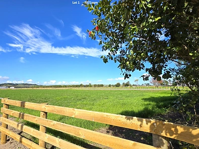 Dargaville Lifestyle Opportunity Just Minutes from Dargaville – Two Prime Sections Available!