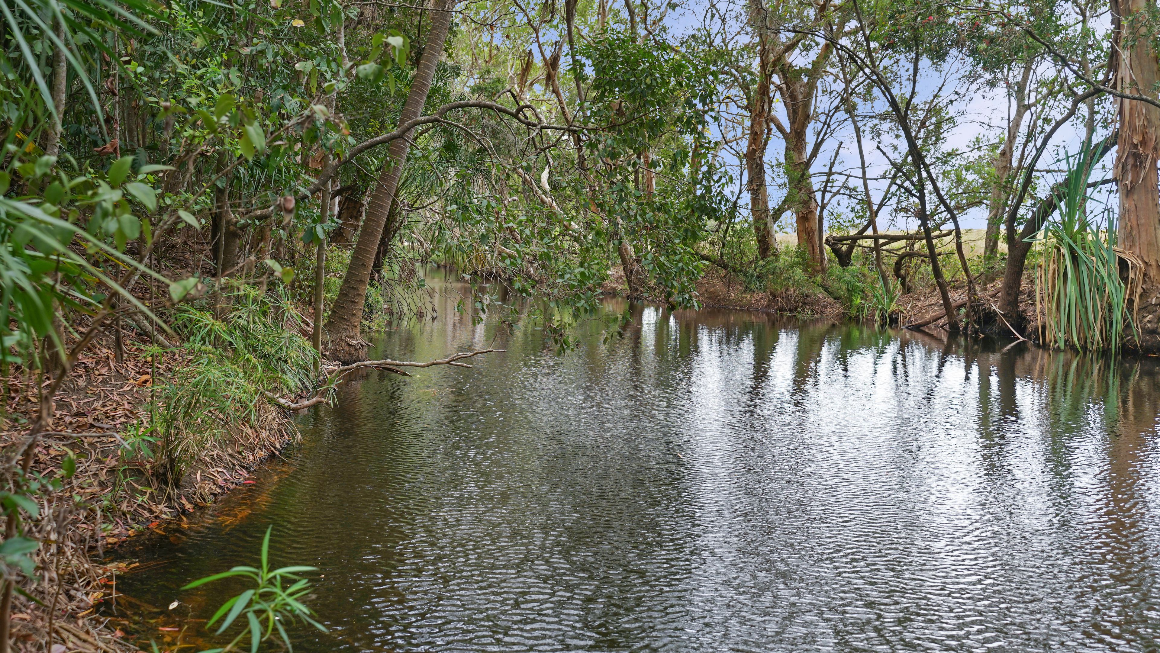 78 CEMETERY RD, SARINA QLD 4737, 0 chambres, 0 salles de bain, Lifestyle Section