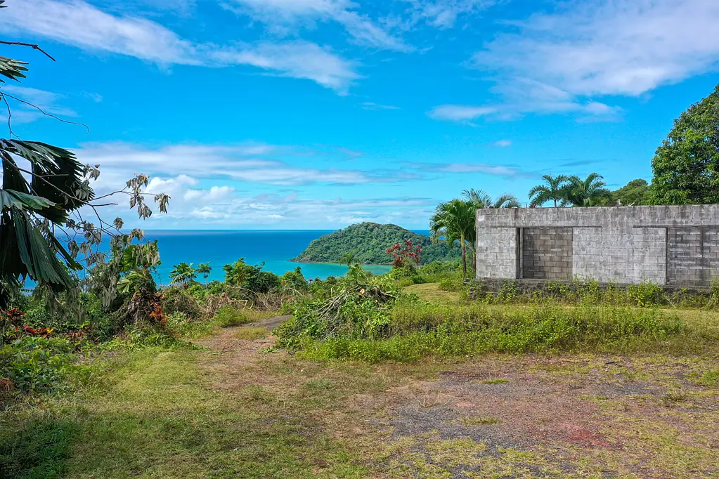 129 Rykers Road, Cape Tribulation, Daintree, QLD 4873