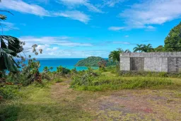 129 Rykers Road, Daintree