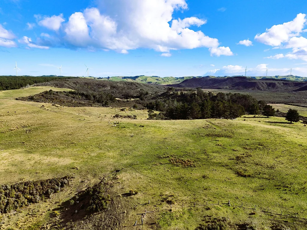 Dargaville  Elevated Bare Block