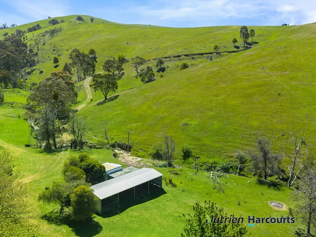 356 Mcnallys Road, Strath Creek, VIC 3658