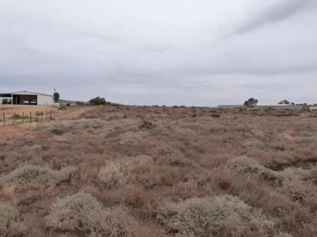 Port Augusta West Large Allotment