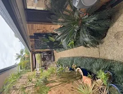 9 Birnam Avenue, Banora Point, NSW 2486, 3 침실, 1 욕실, House