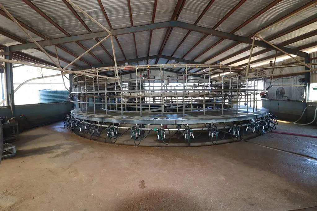 Tullakool  Productive 306 Acre Dairy Holding with Rotary Dairy and Strong Water Security
