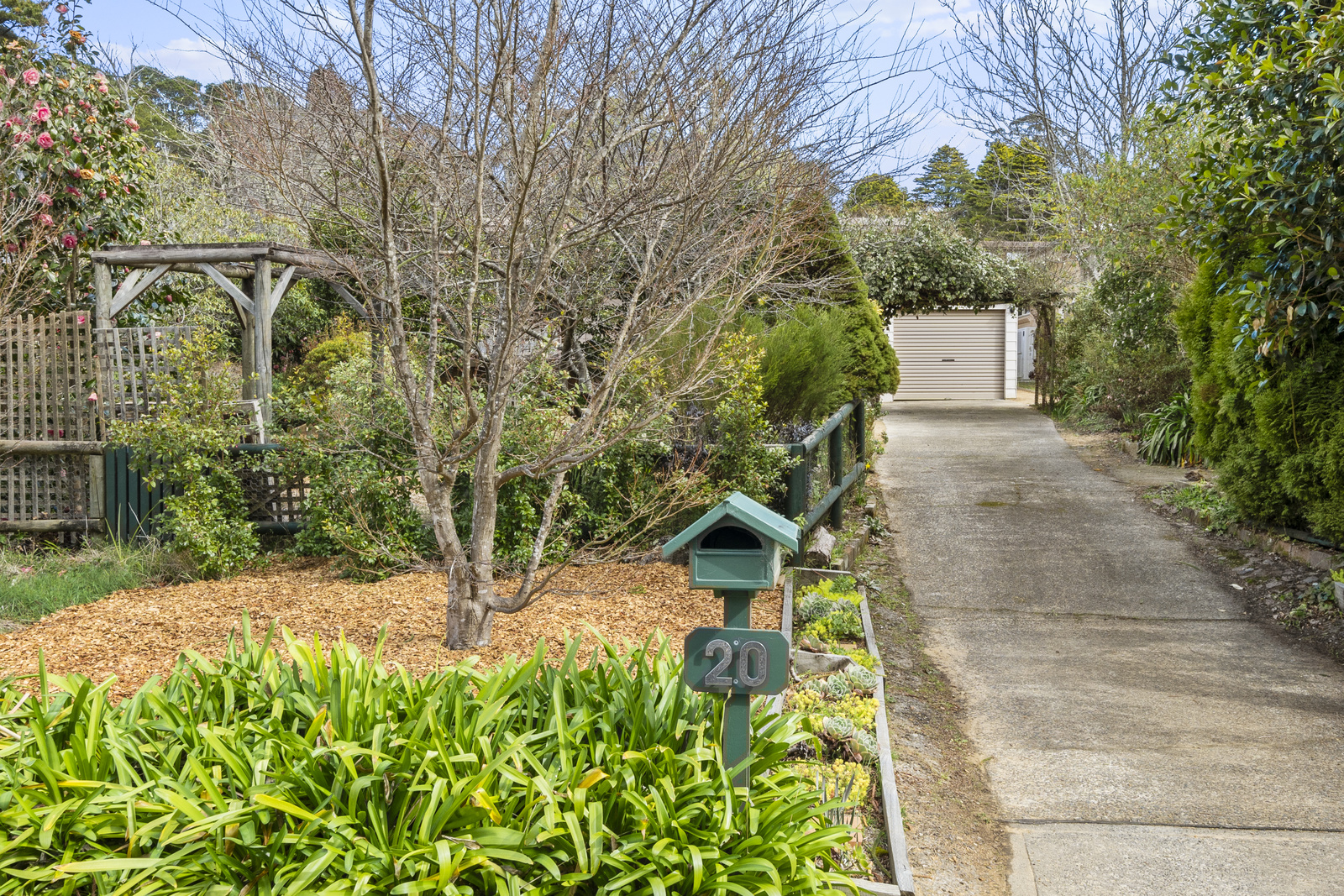 20 YANKO AV, WENTWORTH FALLS NSW 2782, 0 침실, 0 욕실, House